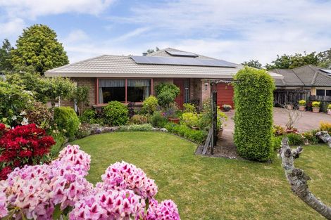 Photo of property in 58 Adams Street, Waihi, 3610