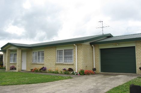 Photo of property in 224 Victoria Street West, Pukekohe, 2120