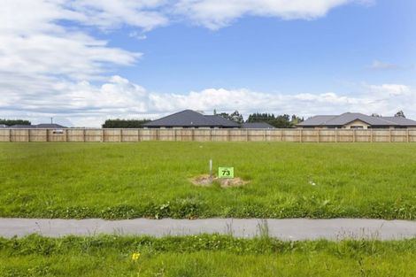 Photo of property in 20 Petries Road, Woodend, 7610