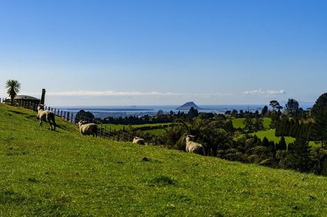 Photo of property in 11f Adrine Lane, Ohauiti, Tauranga, 3173