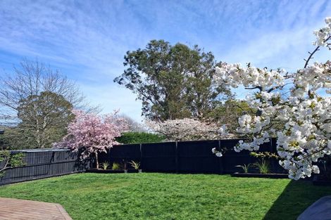 Photo of property in 33 Tara Crescent, Woodend, 7610