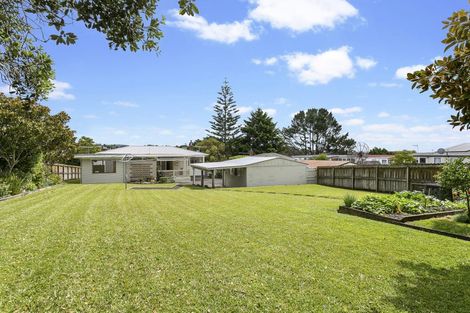 Photo of property in 23 Blease Street, New Lynn, Auckland, 0600