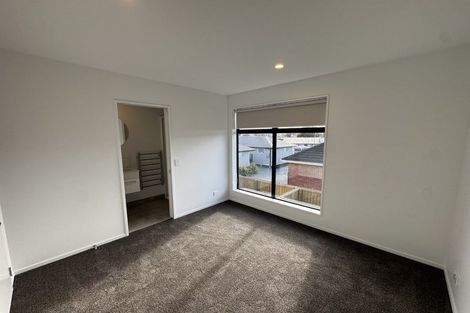 Photo of property in 11/45 Bordesley Street, Phillipstown, Christchurch, 8011