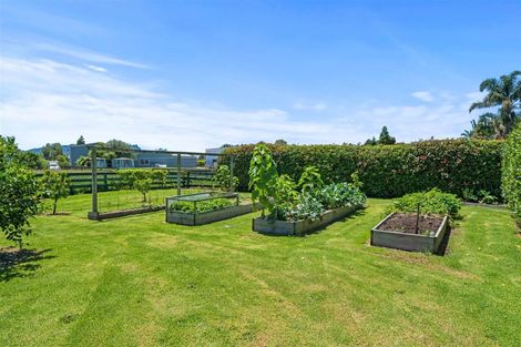 Photo of property in 656a One Tree Point Road, Ruakaka, Whangarei, 0171