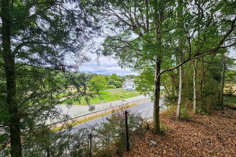 Photo of property in 600 Nelson Creek Road, Nelson Creek, Dobson, 7872