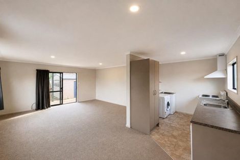 Photo of property in 100a Fairfield Road, Fairfield, Hamilton, 3214