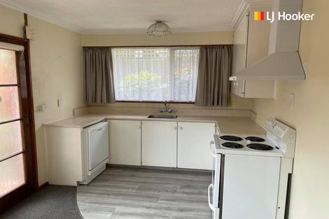 Photo of property in 7b Tyne Street, Roslyn, Dunedin, 9010