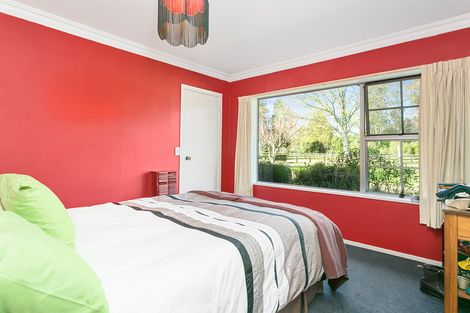 Photo of property in 66 Mill Road, Ohaupo, 3881