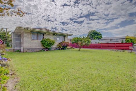 Photo of property in 47 Herbert Road, Queenwood, Hamilton, 3210