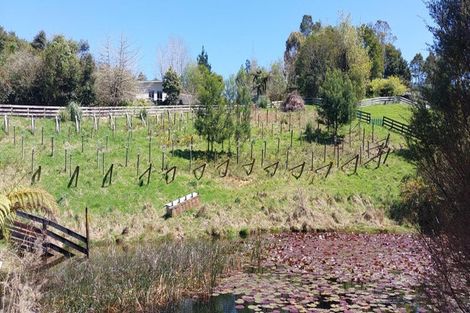 Photo of property in 92a Princes Street, Waikino, Waihi, 3682