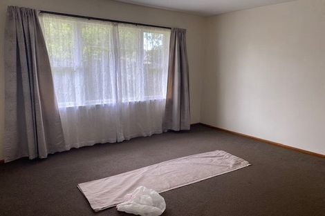 Photo of property in 77 Joy Street, Shirley, Christchurch, 8061