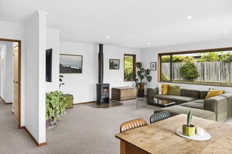 Photo of property in 88 Mount Iron Drive, Wanaka, 9305