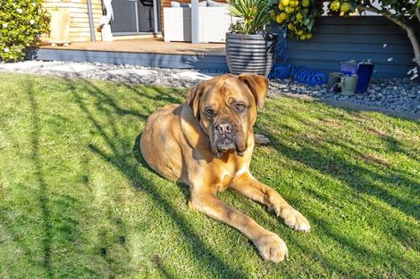 Photo of property in 1 Vogel Place, Te Aroha, 3320