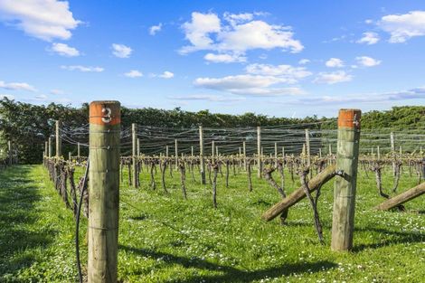 Photo of property in 190 Regent Street, Martinborough, 5711