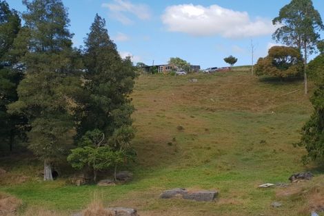 Photo of property in 182 Ohautira Road, Raglan, 3295