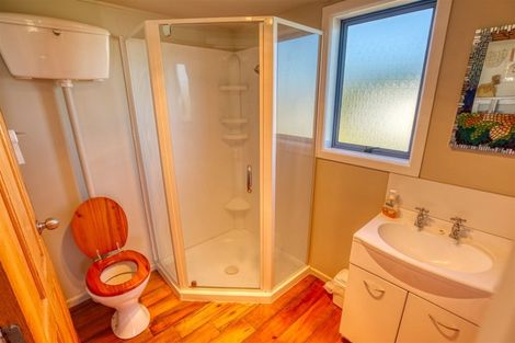 Photo of property in 33 The Strand, Okarito, Whataroa, 7886