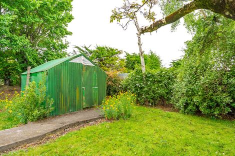 Photo of property in 41 Rhodes Street, Carterton, 5713