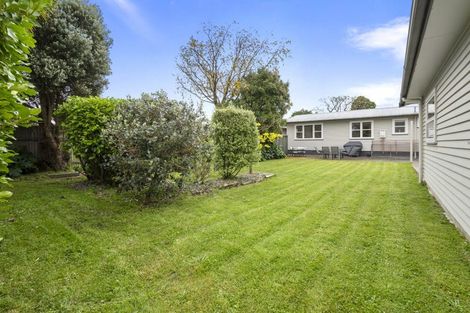 Photo of property in 6 Ruha Street, West End, Palmerston North, 4412
