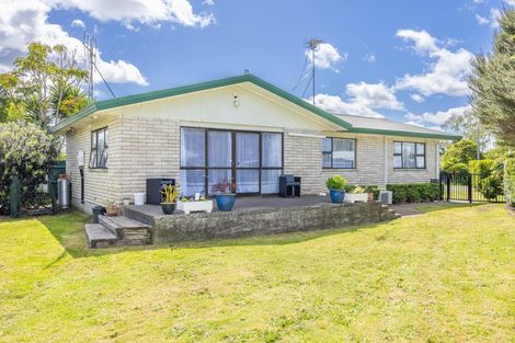 Photo of property in 56 Bailey Street, Huntly, 3700