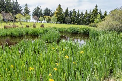 Photo of property in 119 Forestry Road, Ashley, Rangiora, 7477