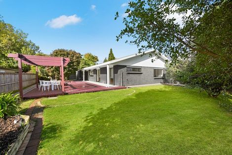 Photo of property in 93 Crosby Road, Chartwell, Hamilton, 3210
