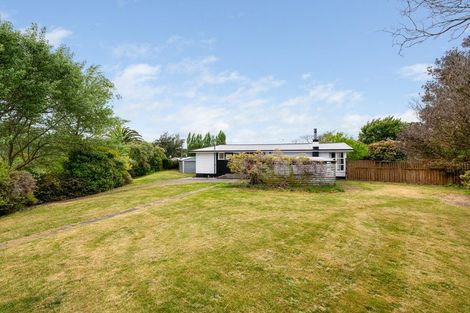 Photo of property in 16 Agincourt Street, Renwick, 7204