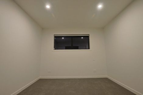 Photo of property in 24 Palm Avenue, Hokowhitu, Palmerston North, 4410