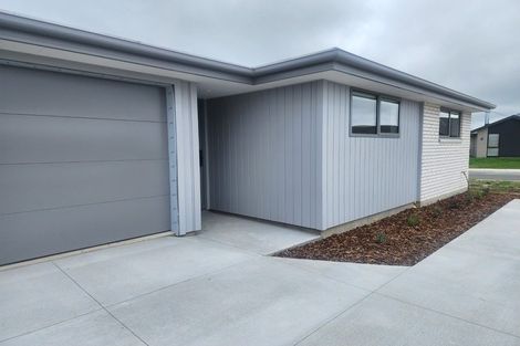 Photo of property in 45 Herridge Street, Woodend, 7691