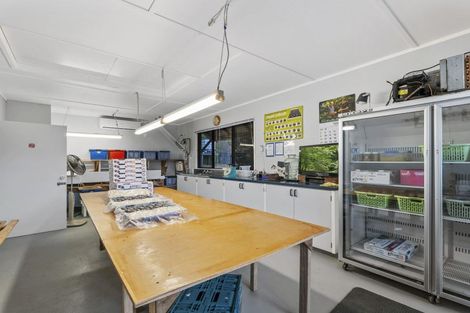 Photo of property in 241 Rea Road, Tahawai, Katikati, 3178