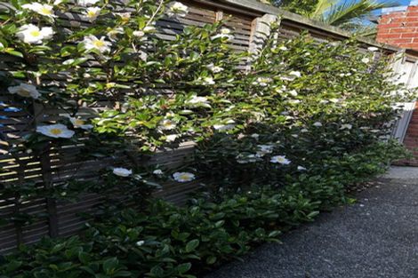 Photo of property in 21 Buchanan Street, Devonport, Auckland, 0624