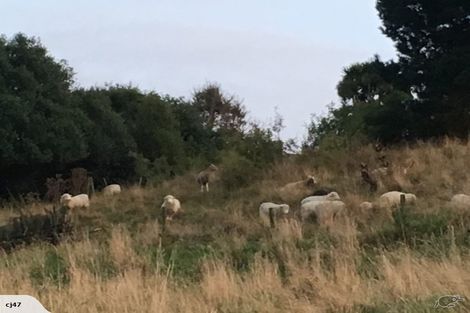 Photo of property in 3 Lot Rc, 2 Nith Street, Oamaru North, Oamaru, 9400