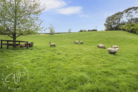 Photo of property in 213 Runciman Road, Ramarama, Pukekohe, 2677