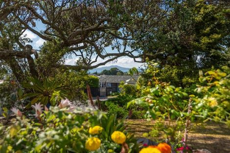 Photo of property in 13 Windsor Place, Windsor Park, Auckland, 0630