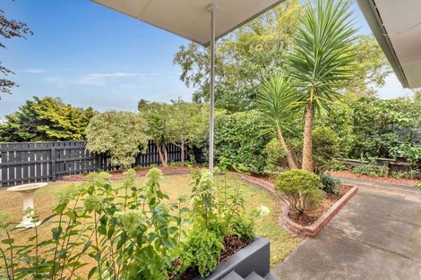 Photo of property in 6 Trent Avenue, Hokowhitu, Palmerston North, 4410