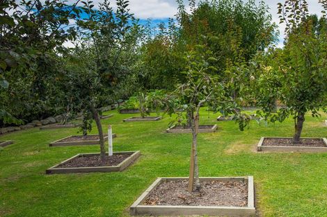 Photo of property in 306 Downs Road, Geraldine Downs, Geraldine, 7991