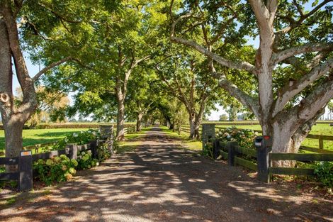 Photo of property in Taihoa Road South, Matamata, 3473