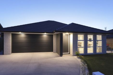 Photo of property in 77 Bert Wall Drive, Omokoroa, 3114