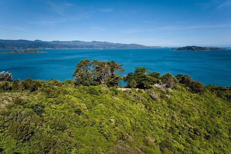 Photo of property in 50 Dungarvan Road, Newlands, Wellington, 6037