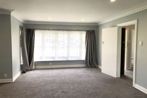 Photo of property in 391 Mount Albert Road, Mount Roskill, Auckland, 1041