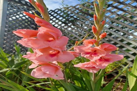 Photo of property in 150 Kings Road, Leithfield, 7481