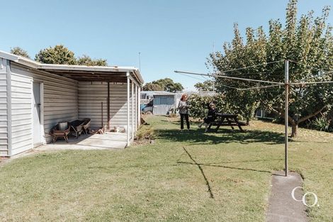 Photo of property in 805 Ferguson Street, Akina, Hastings, 4122