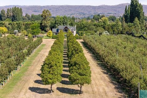 Photo of property in 190 Airport Road, Alexandra, 9391