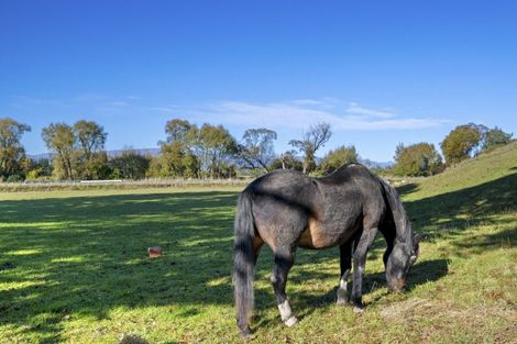 Photo of property in 276 Northbank Road, Kaituna, Blenheim, 7275