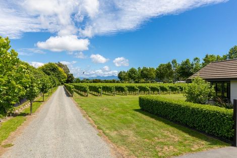 Photo of property in 58 Blicks Lane, Springlands, Blenheim, 7272