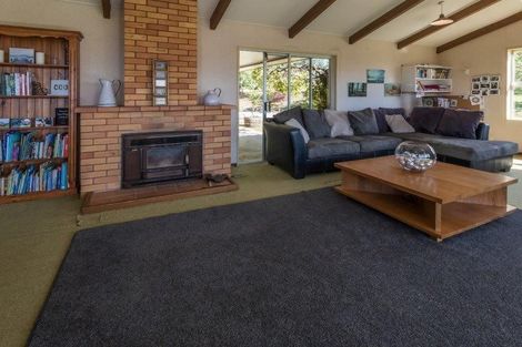 Photo of property in 219 Mount Aspiring Road, Wanaka, 9305