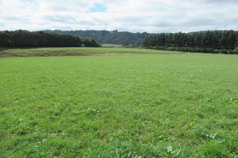 Photo of property in 1272 State Highway 1, Manakau, Otaki, 5583