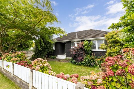 Photo of property in 708 Grove Road, Mayfair, Hastings, 4122