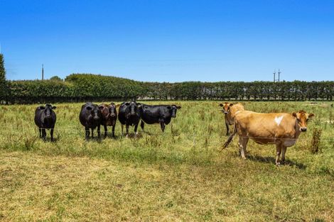 Photo of property in 27 Putiki Road, Edgecumbe, Whakatane, 3193