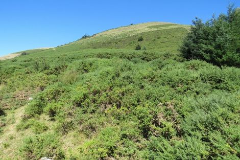 Photo of property in 255 Glentui Bush Road, Glentui, Oxford, 7495