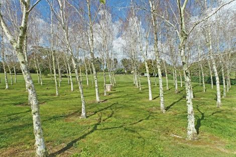 Photo of property in 80a Blackbridge Road, Karaka, Papakura, 2580